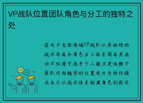 VP战队位置团队角色与分工的独特之处